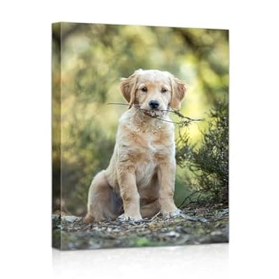 [Custom] Custom Canvas Prints with Your Photos, 12" X 16" Personalized Wrapped Wall Art, Framed Photo Canvas Gifts for Wedding, Family & Pet, Home Decor for Bedroom Living Room, Ready to Hang (12" X 16")