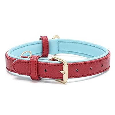 [Tanpie] Tanpie Leather Dog Collar for Small Medium Large Dogs Soft Waterproof Padded Puppy Collars
