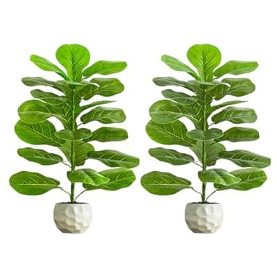 [FSOHOI] FSOHOI 2 Pack Artificial Fiddle Leaf Fig Tree 2.5FT - Faux Ficus Fake Lyrata Plant in White Pot - Artificial Plants Indoor with Pebble - Greenery Likelife Fig Plants for Home Office Room Porch Decor