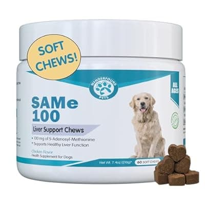 [Pawsitive] Same 100, Liver Support for Dogs, SAM e Chewable Hepatic Support for Dogs, Promotes Cell Membrane Strength, Bacon Flavor - Soft Chew Treats