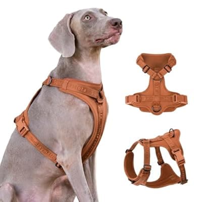 Sunraymascota No Pull Dog Harness with Lycra, Three-Point Force Dispersion & 3D Padding, Adjustable Breathable Mesh for Small Medium Large Dogs(Carmel Brown,L)