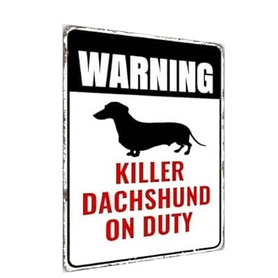 [Carastora] Carastora Dachshund Security Warning Sign – 8x12 Inch Vintage Metal Tin Sign, Dog Patrolled Property Decor for Home, Yard, Gate, Garage, Bar, or Fence Rustic Wall Decor
