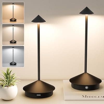 [LEDECOR] 2 Pack Cordless Table Lamp, 6000mAh Rechargeable Battery Operated Desk Lamp, Portable Table Light,3 Color Stepless Dimming Up,for Restaurant, Bedroom, Patio，Outdoor Camping, Coffee Shop, Night Light