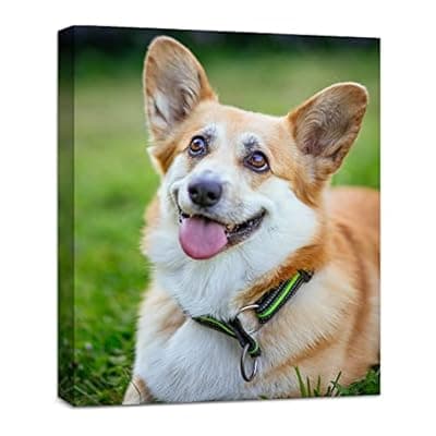 [Anjiefo] Custom Canvas Prints with Your Photo, Framed Personalized Wall Art, High Definition Photo Prints on Canvas for Home Decor, Wedding & Family Gifts, Ready to Hang (8" L x 10" W)