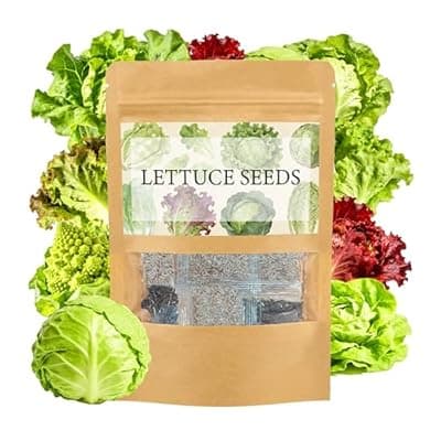 [LUOJIBIE] LUOJIBIE Lettuce Seeds for Planting Outdoors, Vegetable Garden Seeds, 8 Varieties Non-GMO Heirloom Lettuce Seeds (Romaine, Red Leaf, Italian, Batavian, and More) for Fresh Salad Greens, Fast Growing
