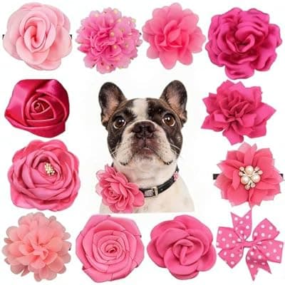 [JollyPetal&Twig] 12 Pcs Pink Dog Collar Flowers Detachable Embellishment Elastic Rubber Band Soft Chiffon Pet Collar Charms for Female Dogs Cats Wedding Birthday Parties Grooming