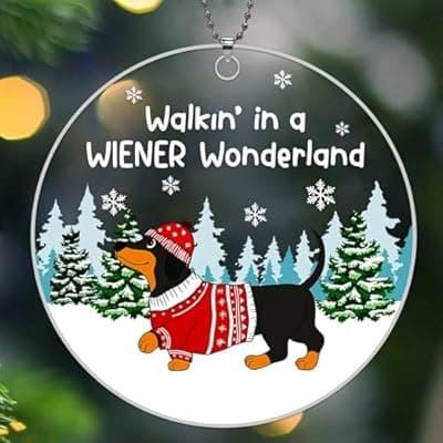 [BAOXUE] Dachshund Christmas Ornaments 2025, Weiner Dog Ornaments for Christmas Tree, Dachshund Christmas Decorations, Dachshund Gifts for Women - Dachshund Through The Snow