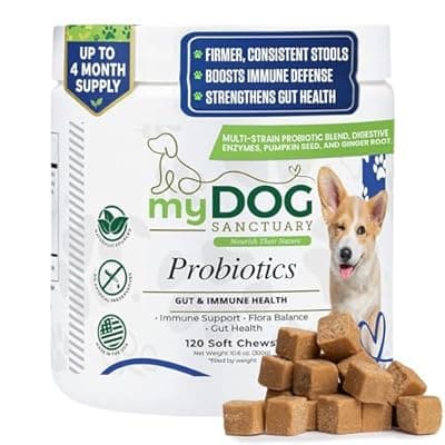 [My Dog Sanctuary] My Dog Sanctuary Probiotics for Dogs 120 Chews - Digestive Enzymes & Gut Health Support with Pumpkin Seed, Ginger Root – Dog Probiotics for Diarrhea, Bowel & Immune Support - Bacon Flavor, Soft Chews