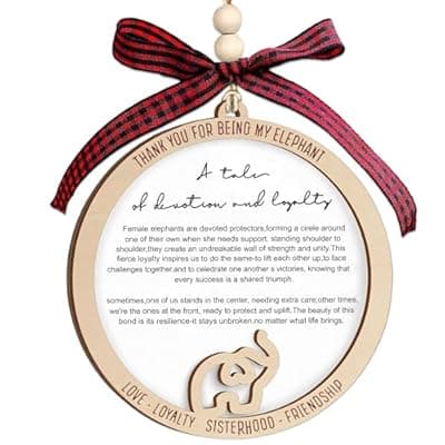 [BAOXUE] Elephant Ornaments for Sisterhood, Friendship Ornaments for Women Friends with Story Text - Elephant Gifts for Women, Best Friend Christmas Birthday Gifts for Sister, Bestie