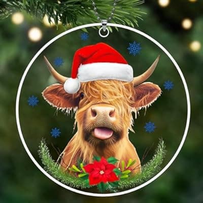 [BAOXUE] Highland Cow Ornament - Farmhouse & Farm Animal Christmas Ornaments for 2024 Tree, Women's Gifts