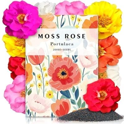 [LUOJIBIE] LUOJIBIE Moss Rose Seeds, 20,000+ Bulk Flower Seeds for Planting Outdoors(99% Pure Live, Non-GMO), Mixed Colors and Large Blooms, Attracts Pollinators, Easy to Grow
