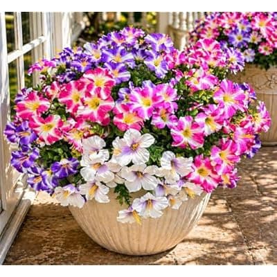 [ENXWEI] ENXWEI Artificial Flowers, 8 Bundles Faux Silk Pansies, Multi-Color, Weather Resistant, for Outdoor Decoration (Colour mixing-01)