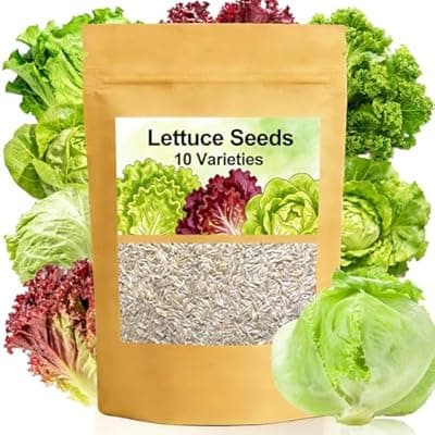 [LUOJIBIE] Lettuce Seeds, 10 Varieties Individual Packs, 40000+ Non-GMO Heirloom Vegetable Seeds for Planting Indoor Outdoor for Fresh Salad, Easy to Grow for Garden Beginners, Gifts for Women Men Plant Lovers.