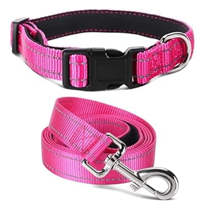 [Jumpress] Jumpress Soft Neoprene Padded Dog Collar and Leash Set for Small Medium Large Dogs, Reflective Durable Nylon Dog Collar with 5ft Leash Easy for Walking, Hot Pink,Neck fit 12.5-19.5’’