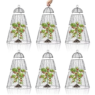 [Dadywheels] Dadywheels Easy-Snap Open Design Chicken Wire Cloche (6-Pack) - Adjustable Garden Plant Protectors from Birds & Animals for Large Plants & Flowers, 14" Dx20 H (M)