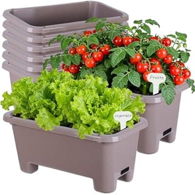 [Oliz] Oliz Self-Watering Rectangle Planter Boxes 8-Pack, 15.7-Inch Window Box Planter with Drainage Holes & Trays, Pots for Vegetables, Herbs, Flowers, Garden Windowsill Balcony (Coffee)